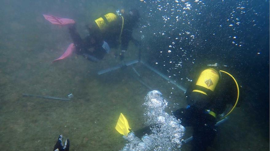 Replantaran 700 plàntules de posidònia a Cadaqués per frenar-ne l&#039;erosió