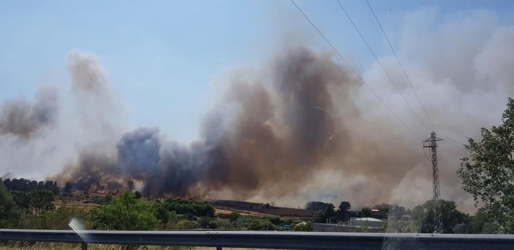 Incendi forestal a Sant Fruitós de Bages