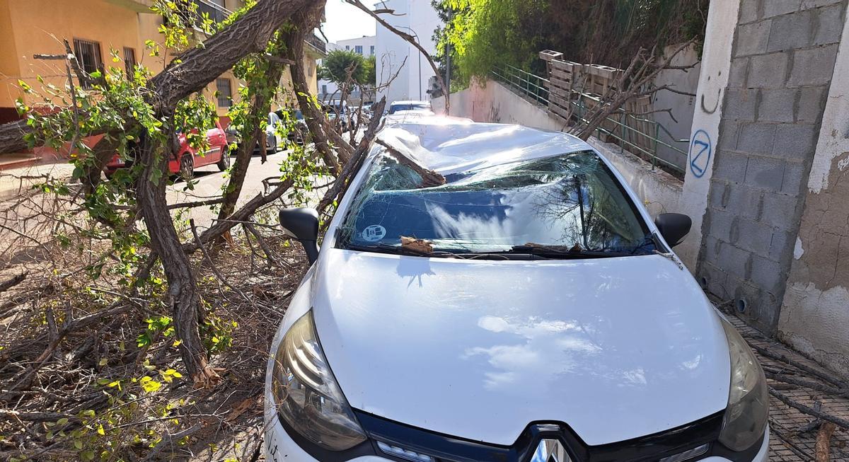 Un árbol se ha desplomado sobre dos coches en la calle Maestro Jesús Montaner