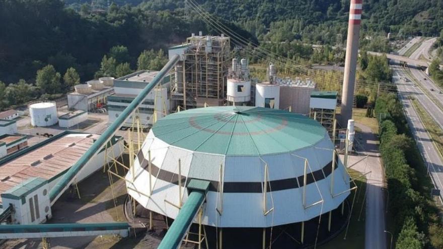 Hunosa logra su supervivencia al ganar la subasta para la central de biomasa