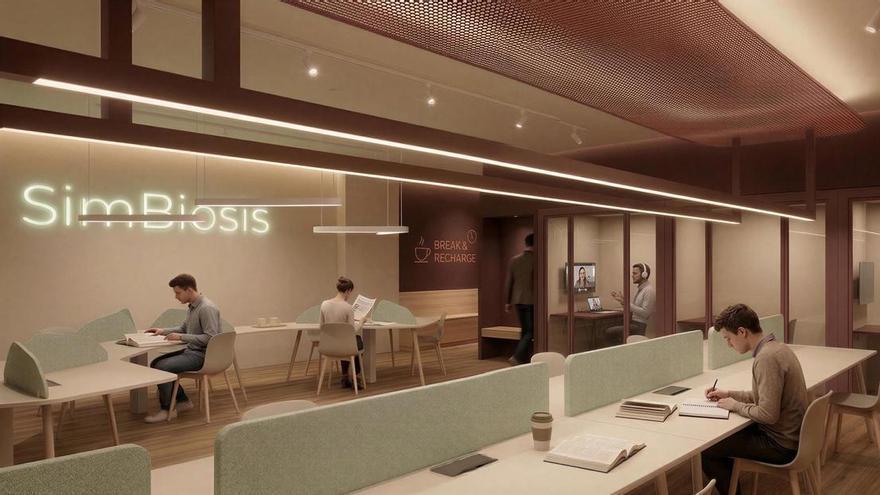 Nuevas salas de estudio para Elche: de las taquillas digitales al control de acceso 24 horas por aplicación móvil