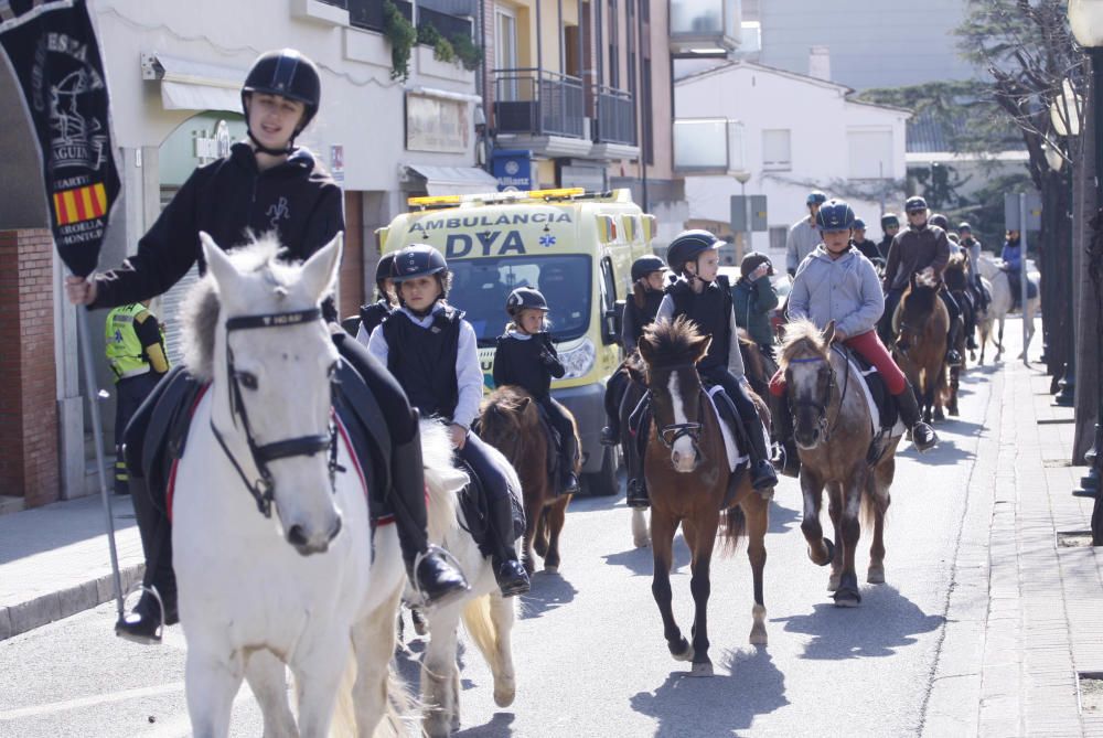 Festa de Sant Antoni Abad a Torroella de Montgrí