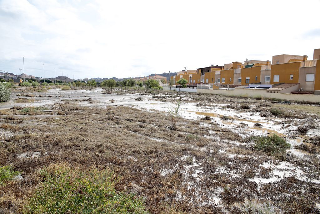 Estas son las imágenes que deja la DANA a su paso por Águilas