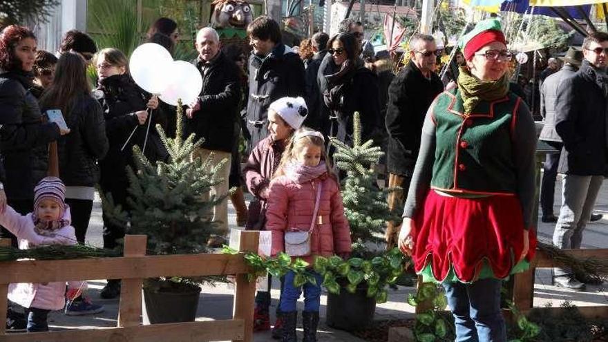 Los niños, protagonistas del bosque encantado de La Marina.