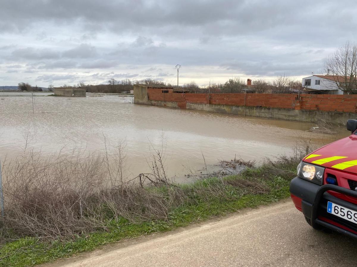 El agua del Duero desbordado, en la zona de la Rinconada.