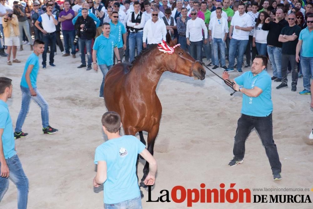 Día uno de mayo, entrada de caballos al Hoyo