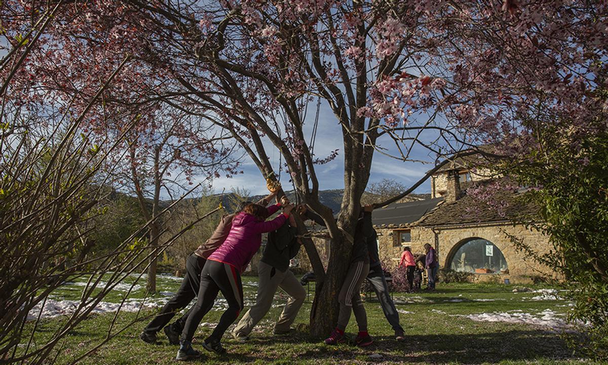Todos a una en Artosilla, levantando la rama de un árbol rota por la nieve