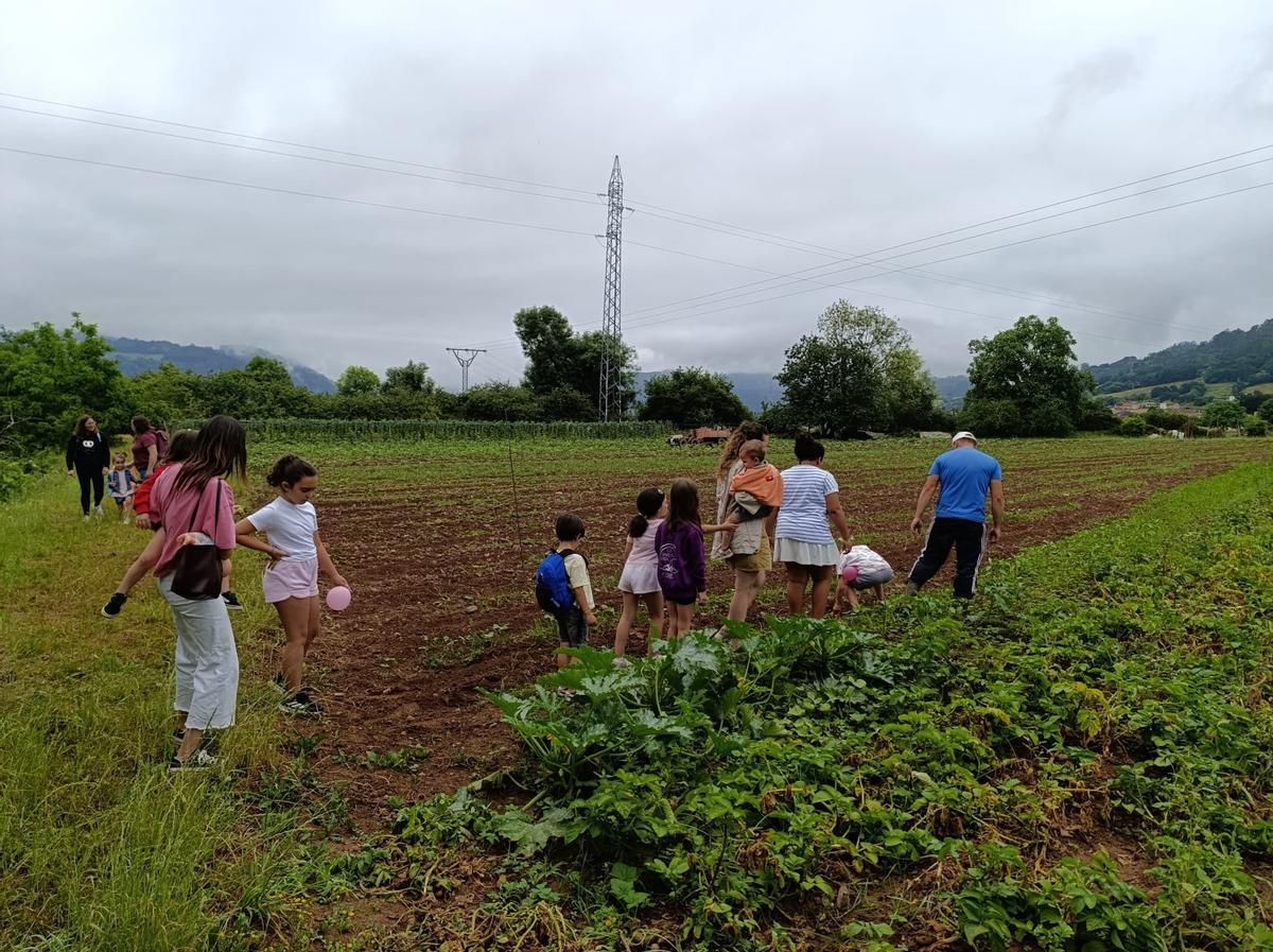 Actividades de fin de curso en la Escuela La Mata.