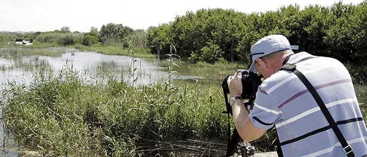 Imagen del parque natural de s&#039;Albufera, donde se han contabilizado mÃ¡s aves en el Ãºltimo recuento.