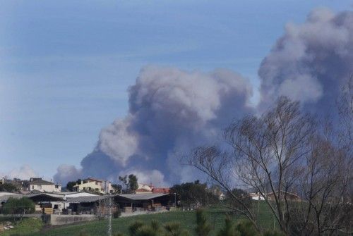 Incendi forestal a peu de les Gavarres