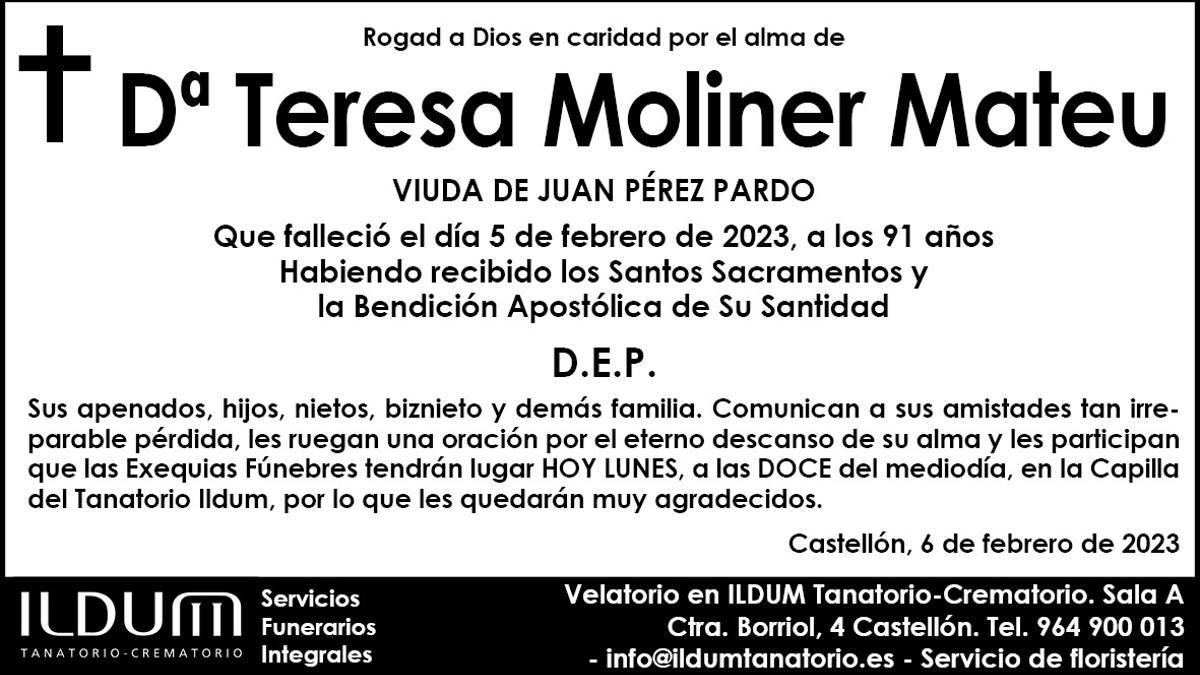 Dª Teresa Moliner Mateu