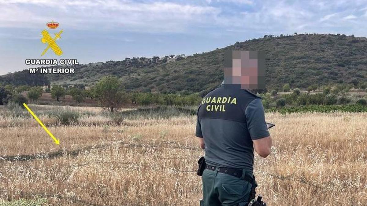 La red que utilizaron los cazadores furtivos en Fuente del Maestre.