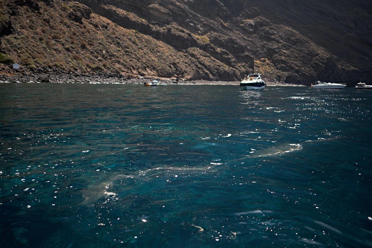 Costa de Buenavista del Norte.