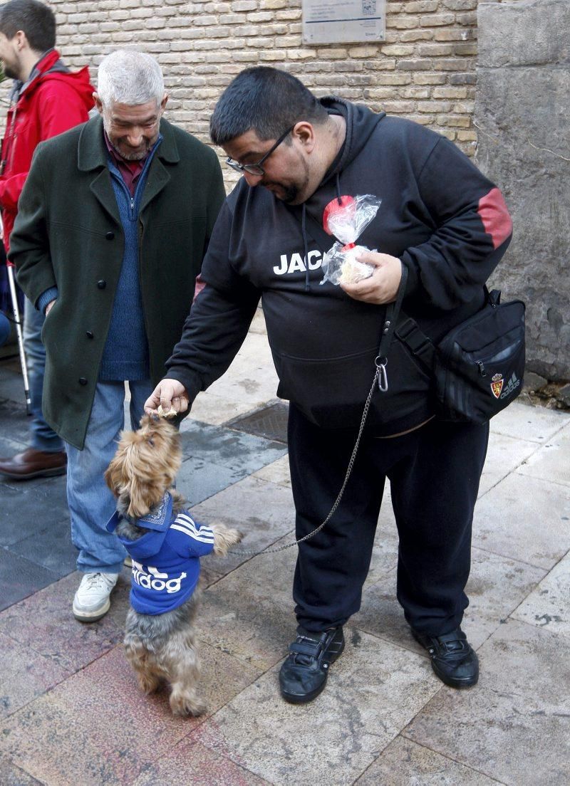 Celebración de San Antón, bendición de los animales