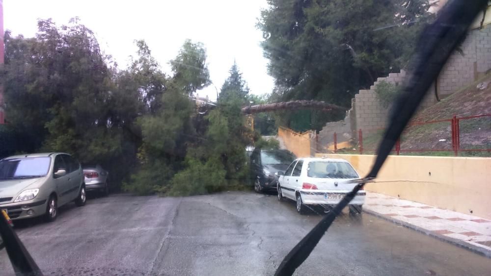 Las imágenes del temporal de lluvia en Málaga