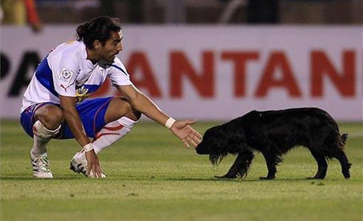 El jugador de la Universitat Catòlica Juan Eduardo Eluchans maira d’atrapar un gos que ha entrat al camp durant el partit de Copa Libertadores contra el club Velez Sarsfield de l’Argentina, a Santiago (Xile).