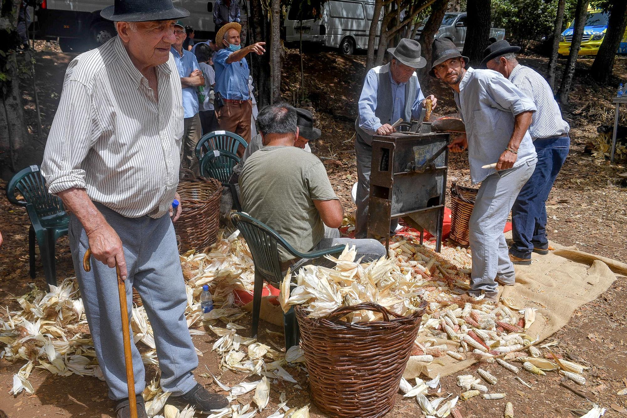 Feria de Ganado del Pino 2024 en Osorio