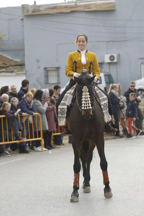 Benidición de animales en la Ermita de Vera y en la Punta