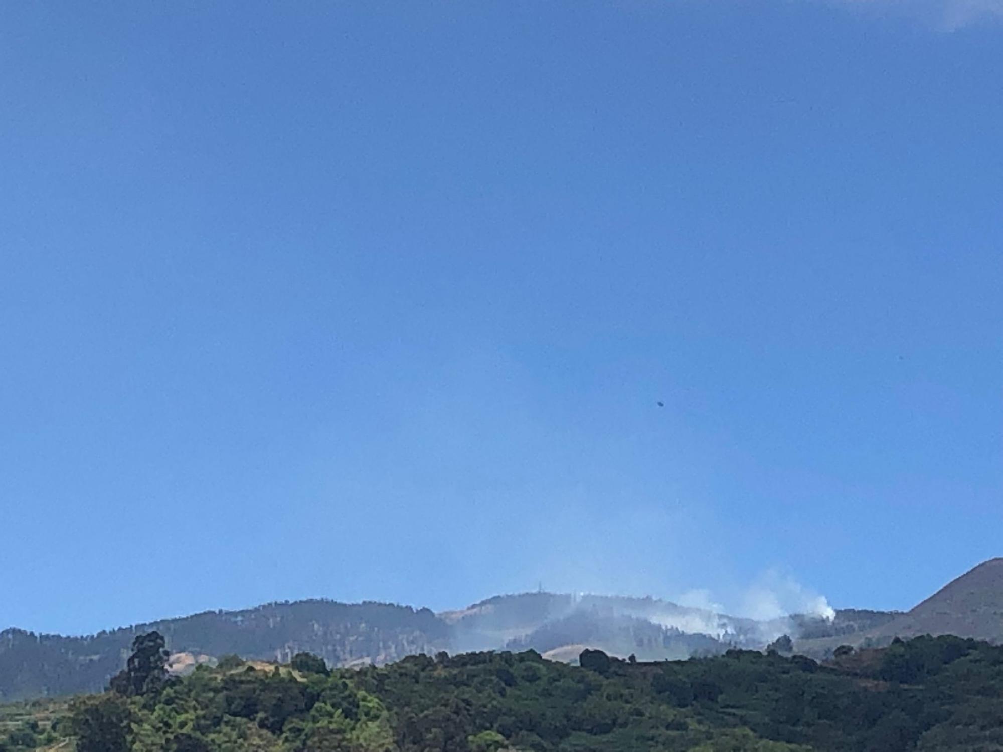 Quemas controladas en Gran Canaria (30/05/22)