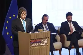 Milei vuelve al foro de Davos tras dos polémicas intervenciones anteriores