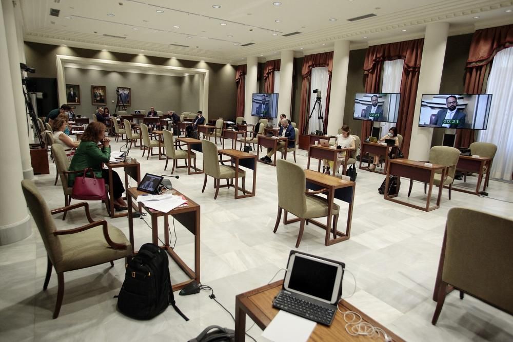 Pleno en el Parlamento de Canarias