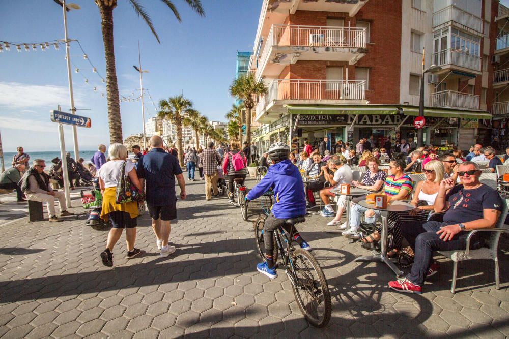 Benidorm celebra el día de la Constitución