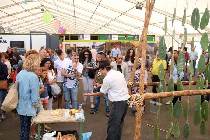 Feria Insular de Artesanía en Antigua