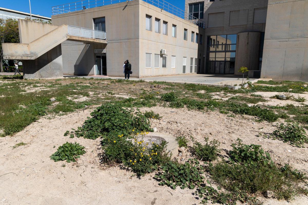 Espacio donde estaba previsto construir el nuevo centro de día de oncología del Hospital de Sant Joan