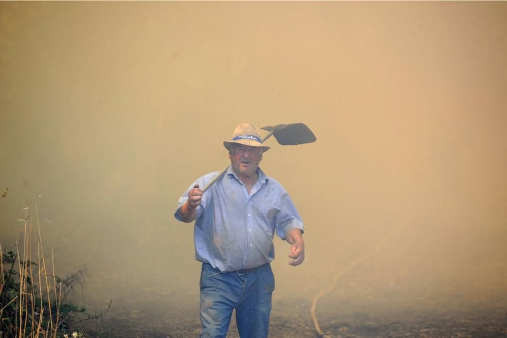 Las imágenes del incendio de Rodeira. // Bernabé | Javier Lalín