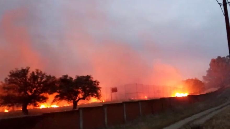 Incendio en el monte de Casar de Cáceres