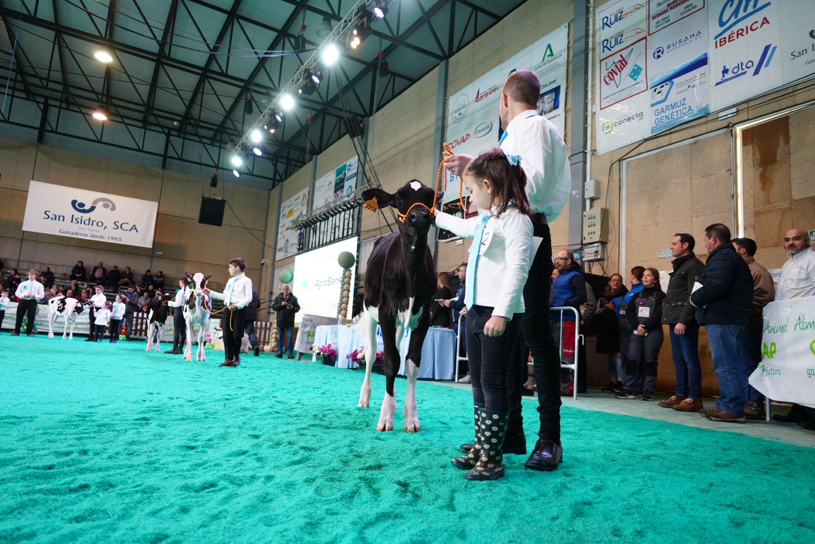 El Concurso Morfológico 'Usías Holstein' de Dos Torres, en imágenes