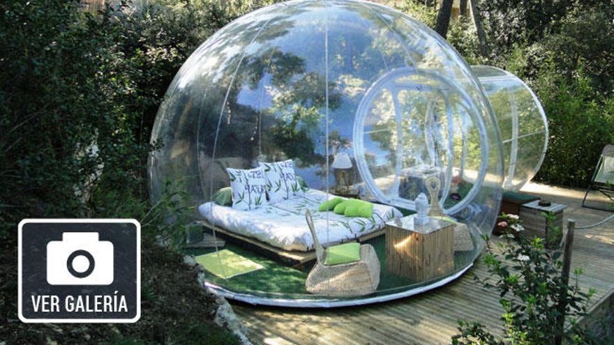 Burbujas para acampar en plena naturaleza