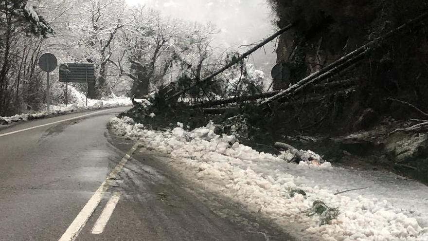 Cangas del Narcea y parte de Tineo, sin luz por el temporal