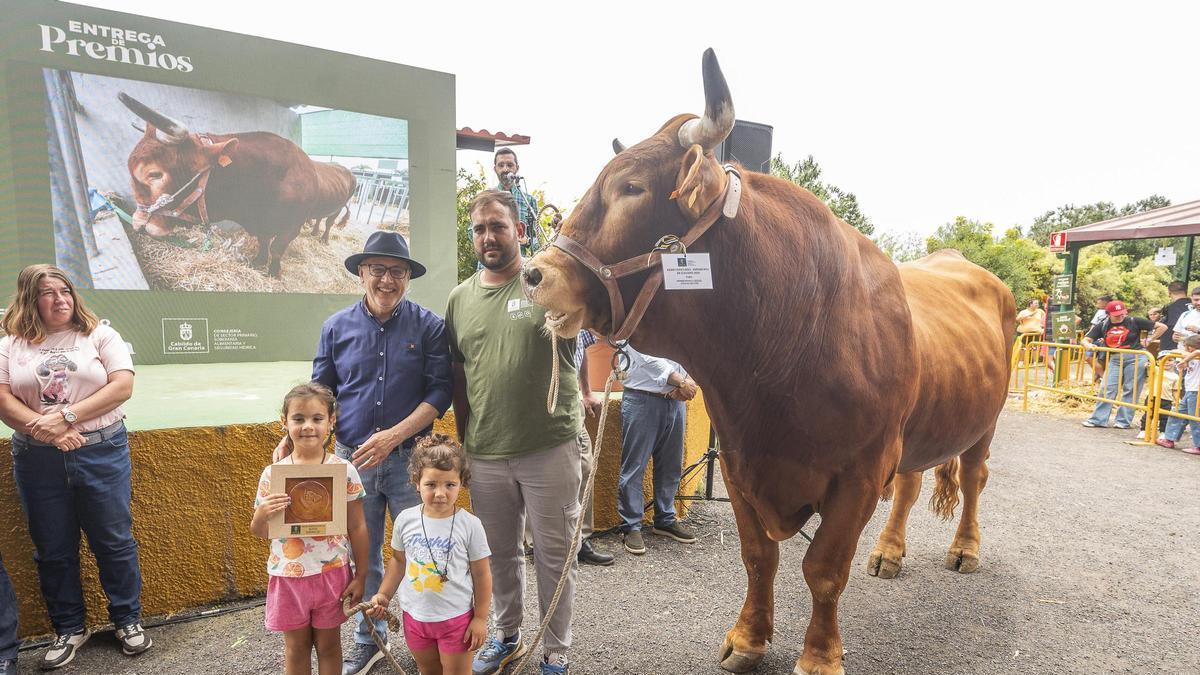 Antonio Morales, presidente del Cabildo de Gran Cnaria, junto al mejor toro vacuno país, de la ganadería Gregorio Bordón Castellano.