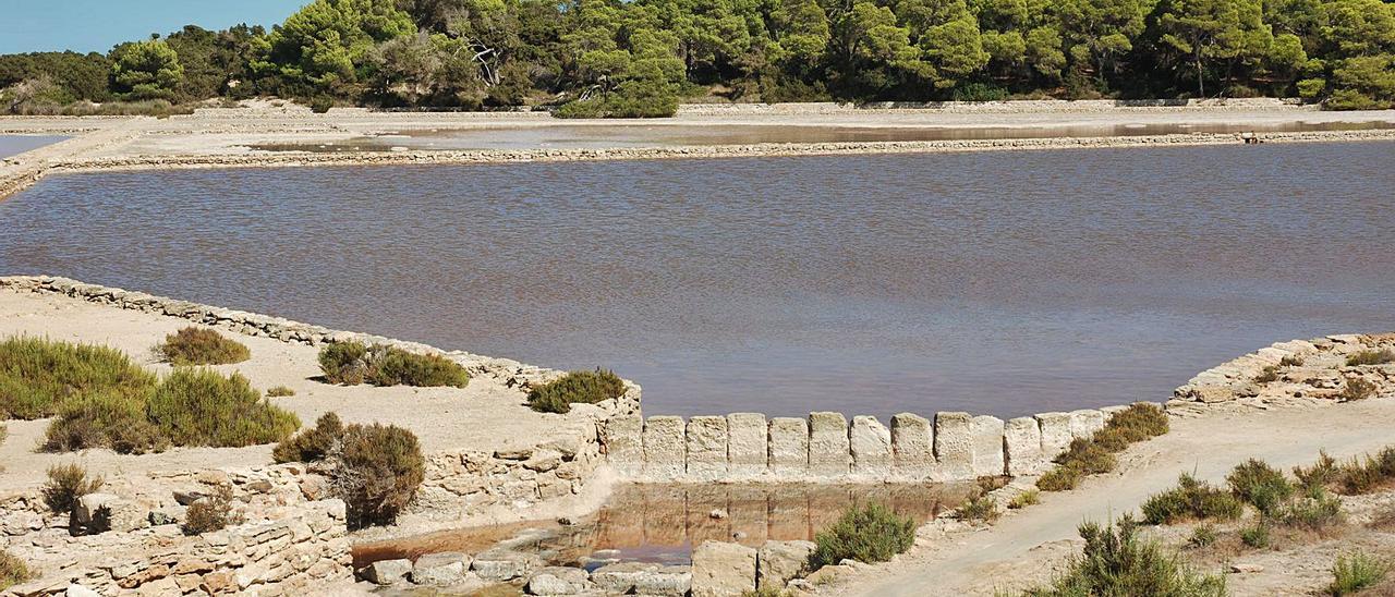 Uno de los estanques salineros de Formentera.