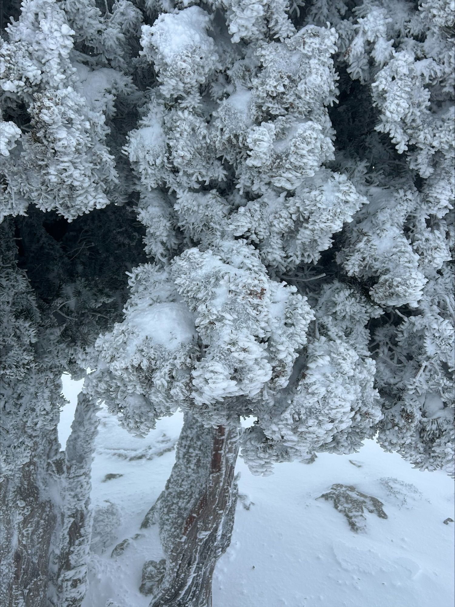 La Serra de Tramuntana, como una pista de esquí