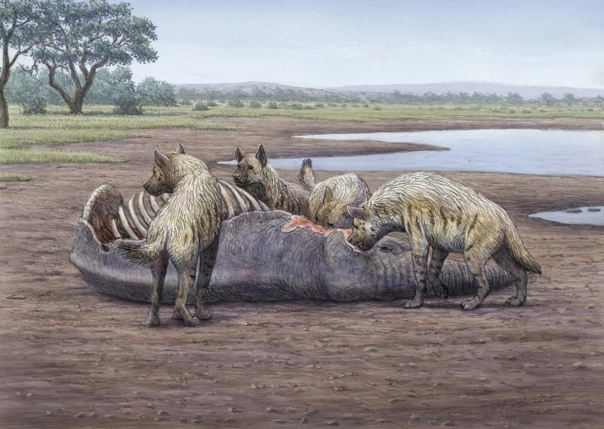 Dibujo de hienas y mamut