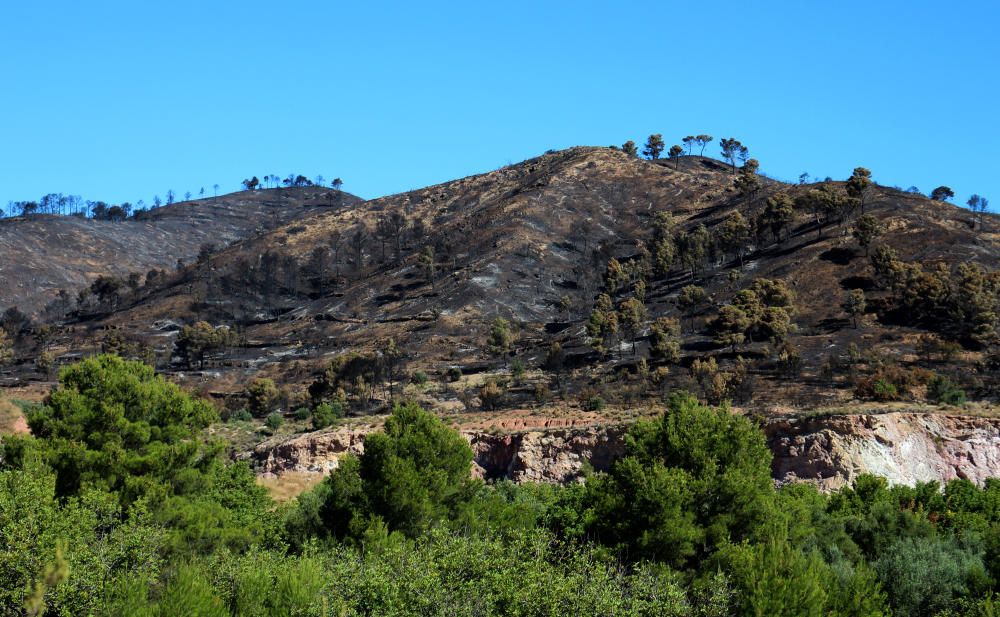 El desolador paisaje de la Calderona tras el incendio