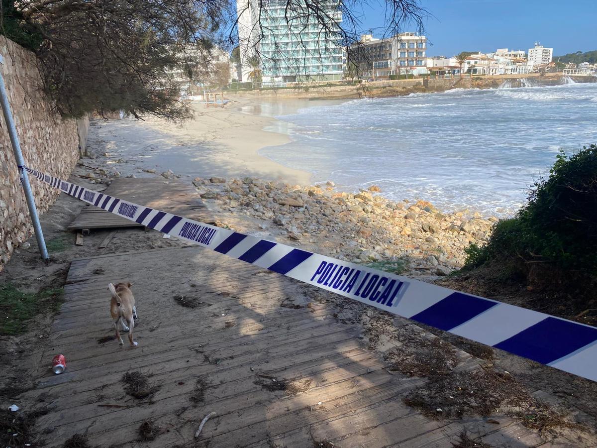 Der Plankenweg am Strand von Son Moll wurde zerstört.