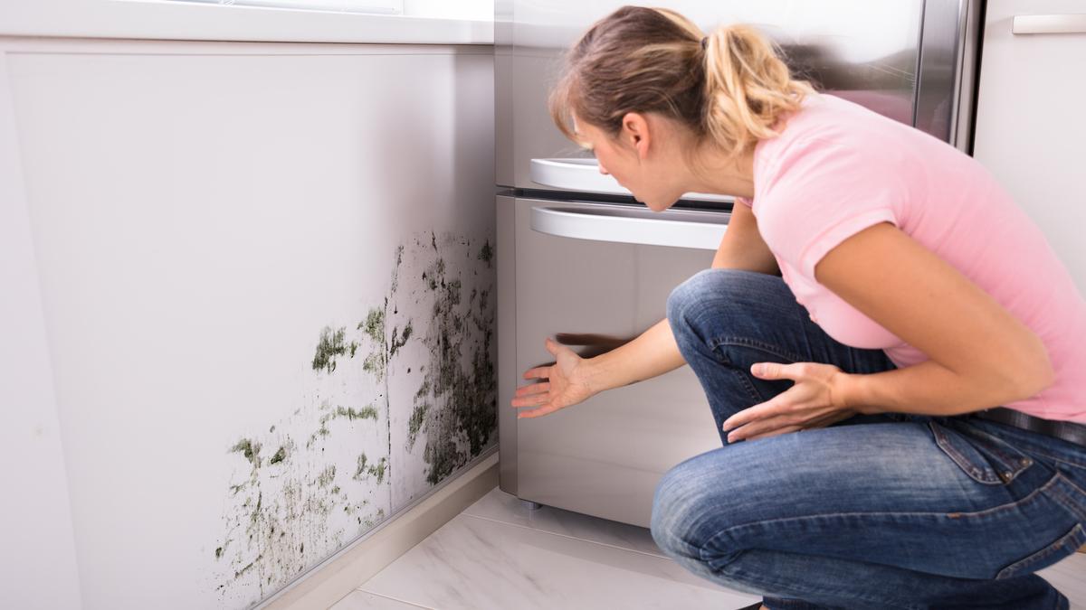 Limpieza ¿Cómo puedes quitar la humedad de casa de forma definitiva?