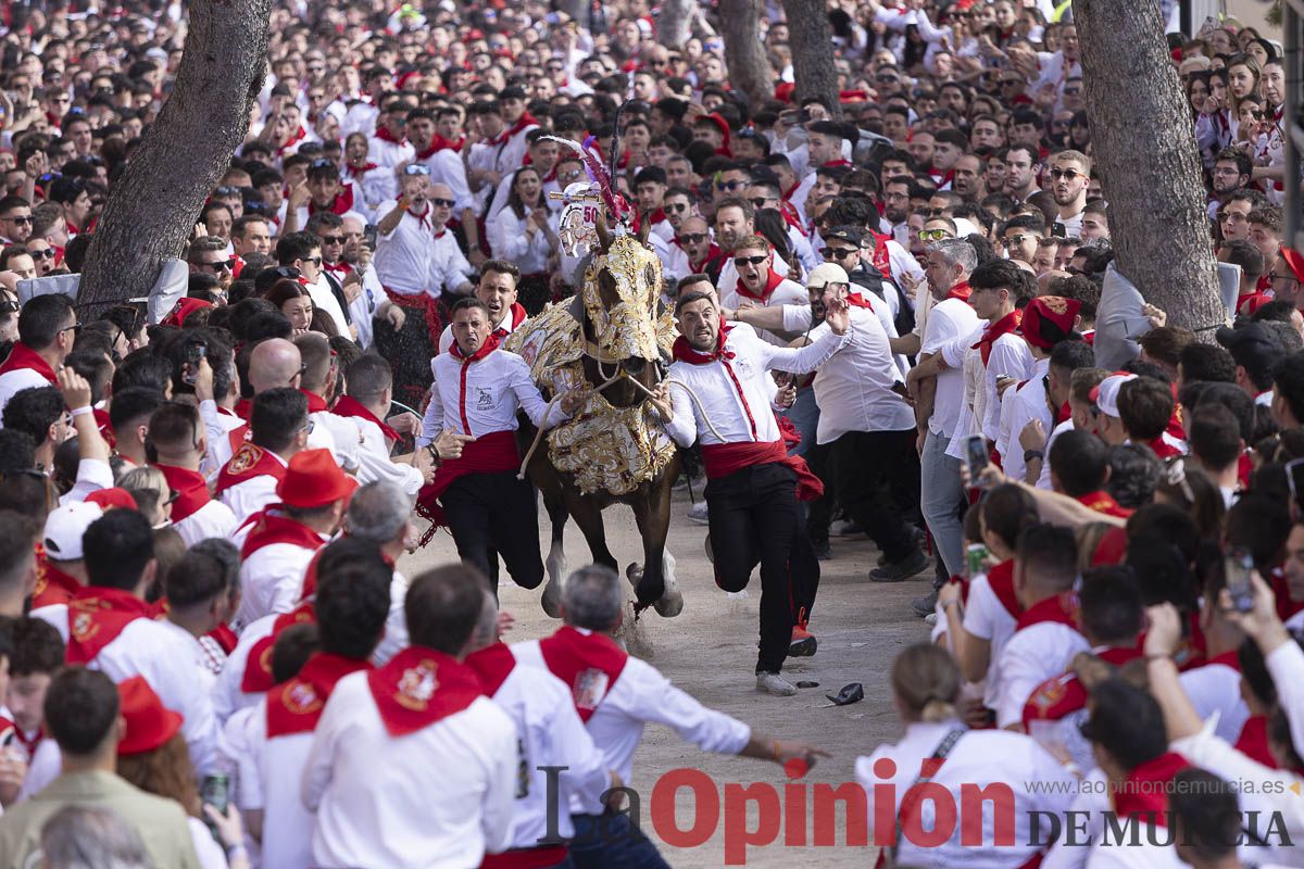 Así se ha vivido la carrera de Los Caballos del Vino en Caravaca