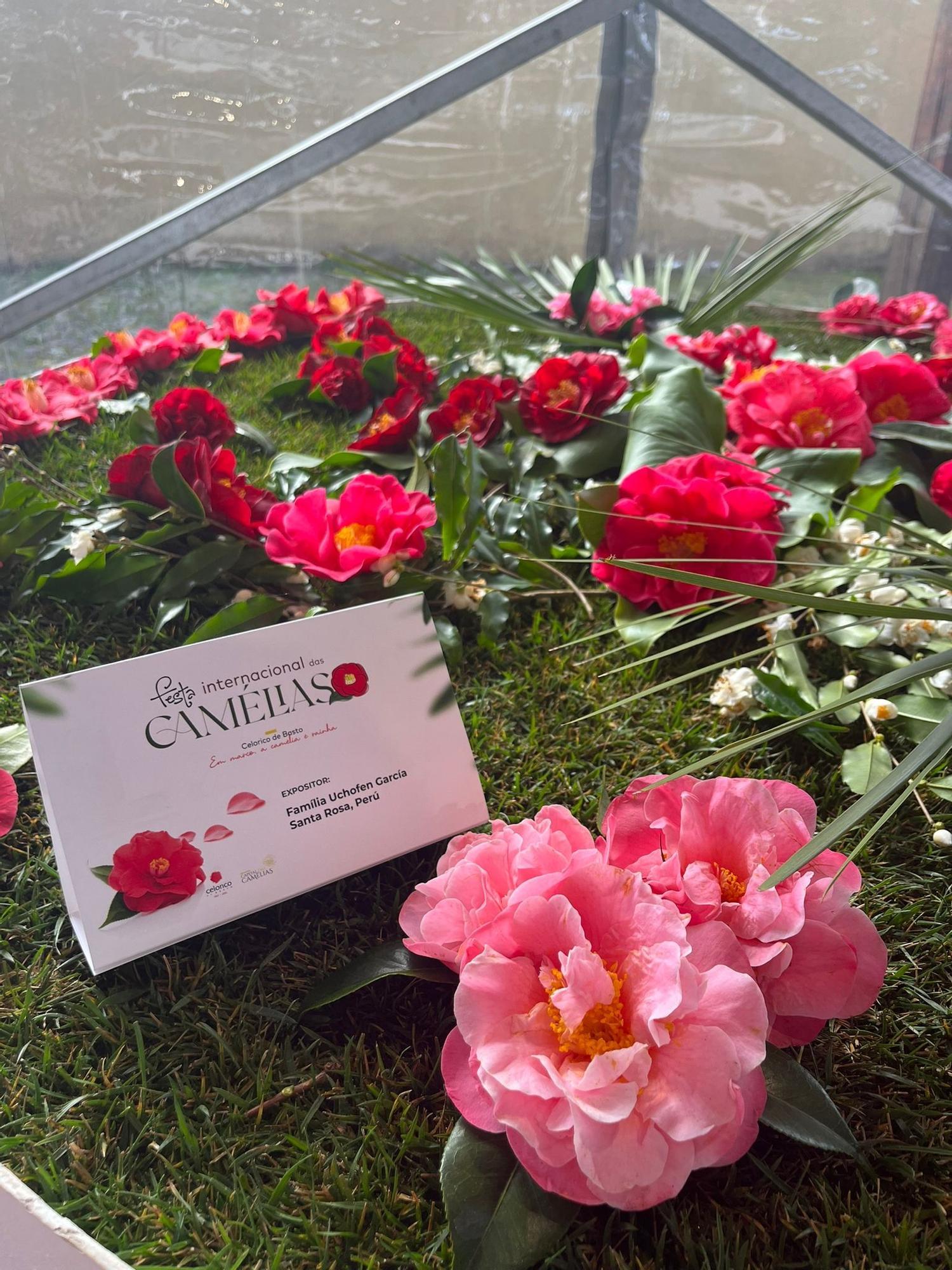 Cambados presumió de camelia en la feria de Celorico de Basto (Portugal).