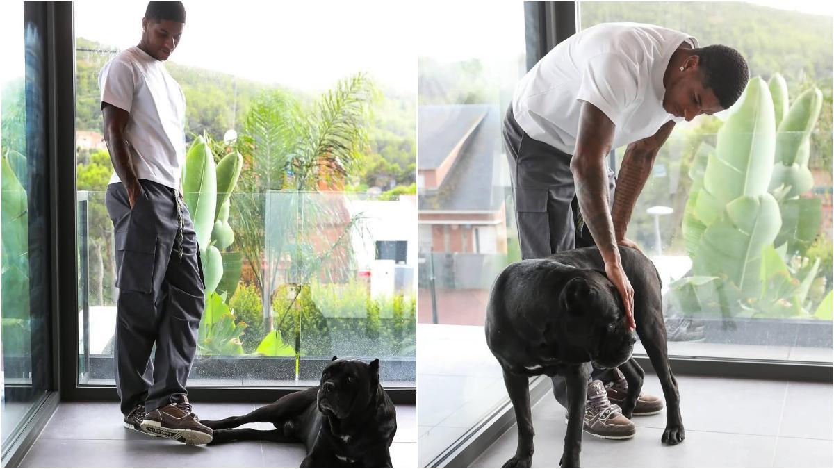 Marcus Rashford, con su perro de Chaperone K9, en Barcelona