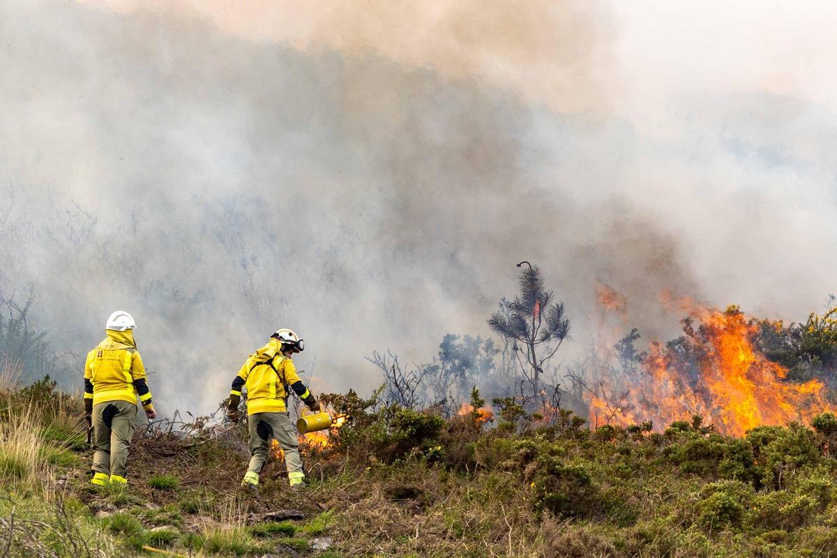 El fuego, un aliado en la prevención de las llamas: «Reduce la carga y nos da margen de seguridad