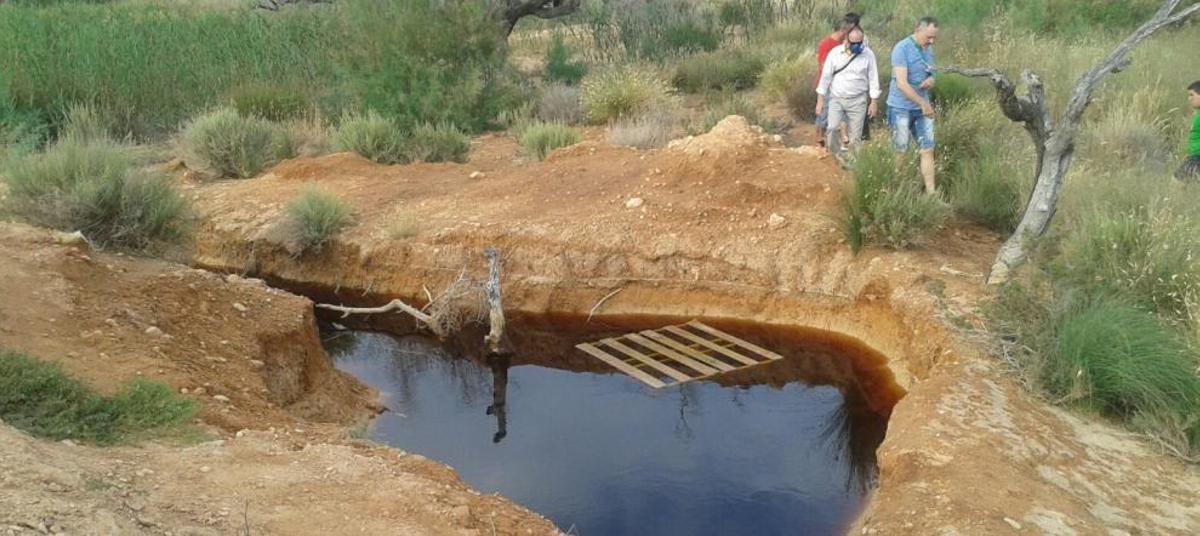 Reivindican la regeneración de La Murada en el Día Mundial del Medio Ambiente