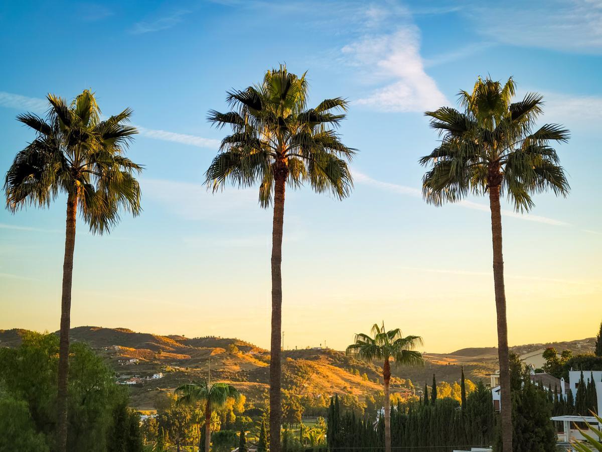 Sierra Blanca es una lujosa urbanización en Marbella.