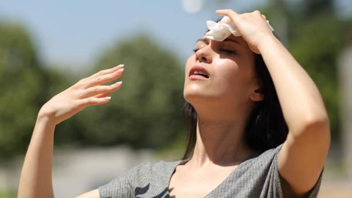 Castilla y León activa alertas por calor este lunes: hasta 37 grados en varias provincias.