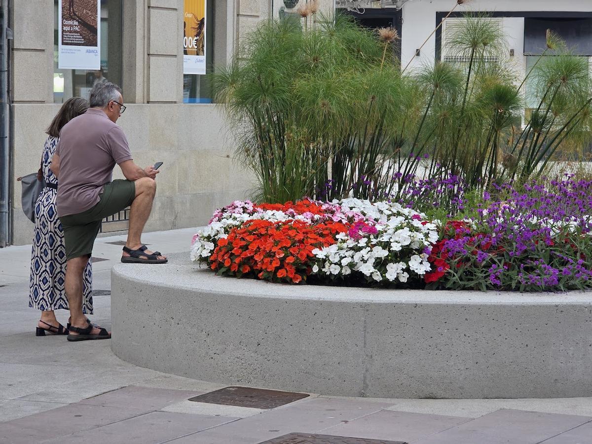 Vecinos fotografiando las flores de Arzobispo Lago.