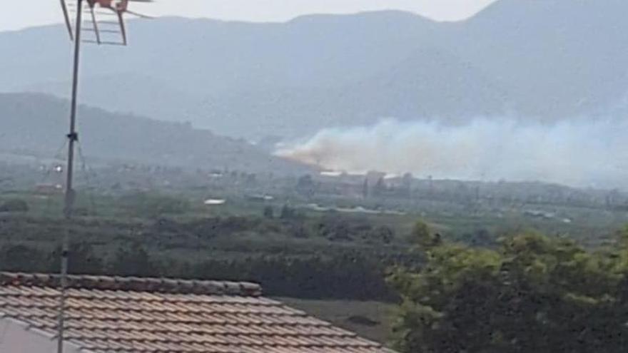 Is there an arsonist on the loose in Vall d'Uixó?: Suspected third fire in the partida de la Punta in a week