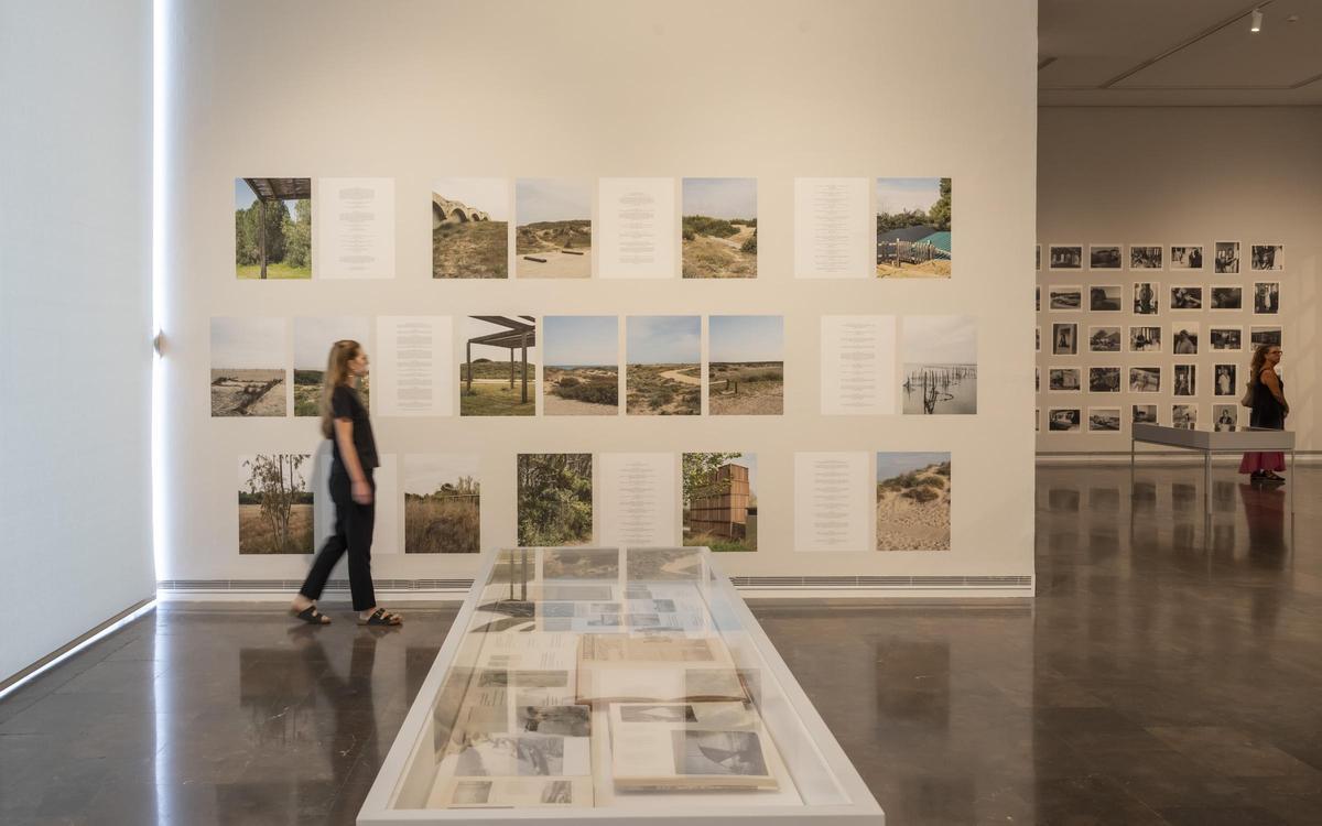 Exposición “L'Albufera” en el IVAM